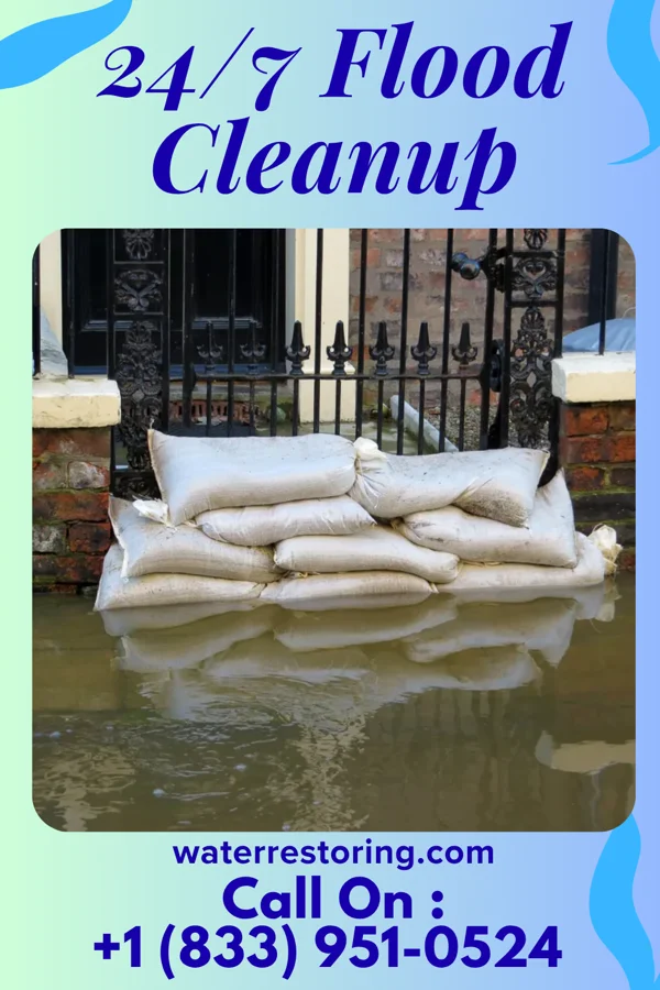 24/7 Flood Cleanup in Ualapue, HI