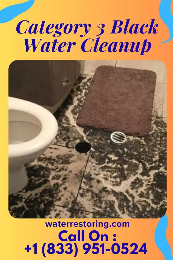 Category 3 Black Water Cleanup in Ualapue, HI
