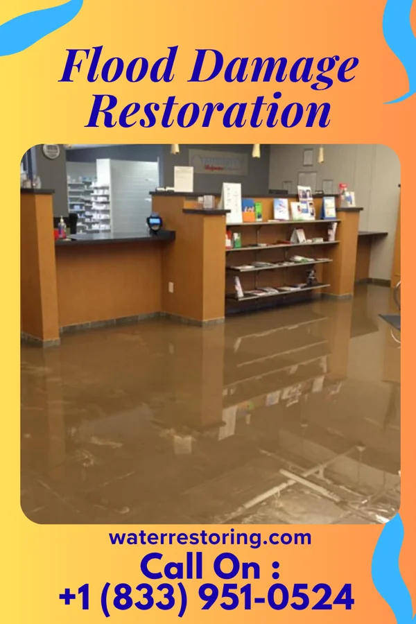 Flood Damage Restoration in Ualapue, HI