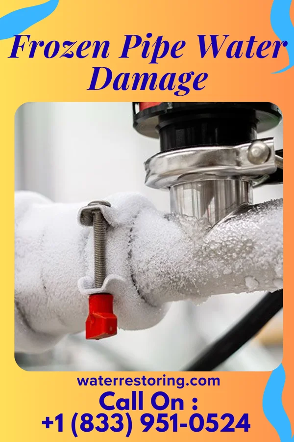 Frozen Pipe Water Damage in Ualapue, HI